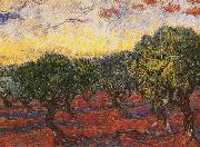 Vincent Van Gogh Olive Grove Spain oil painting artist